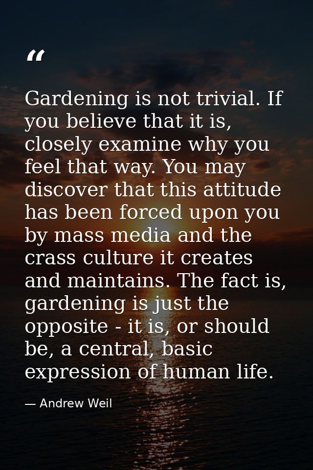 Gardening is not trivial. If you believe that it is, closely examine why you feel that way. You may discover that this a — Andrew Weil