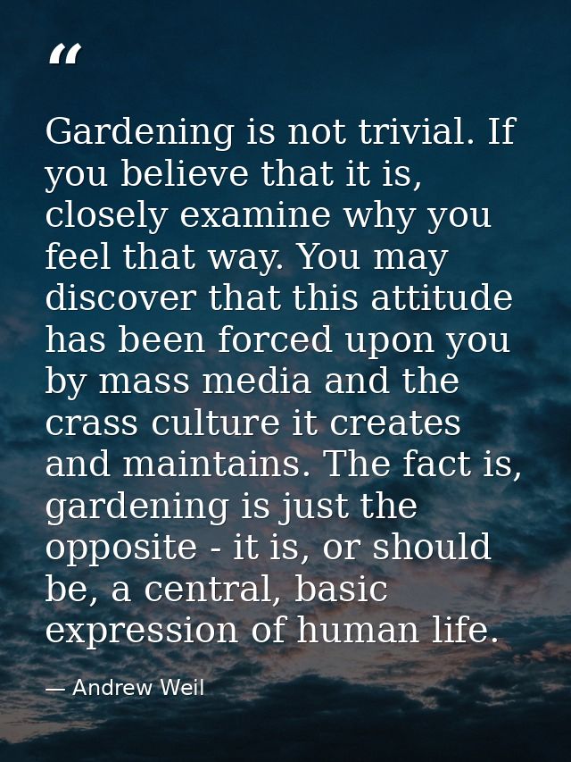Gardening is not trivial. If you believe that it is, closely examine why you feel that way. You may discover that this a — Andrew Weil