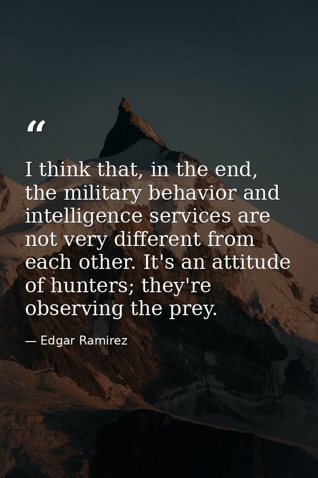 I think that, in the end, the military behavior and intelligence services are not very different from each other. It's a — Edgar Ramirez