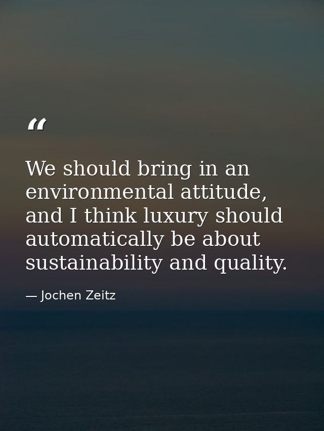 We should bring in an environmental attitude, and I think luxury should automatically be about sustainability and qualit — Jochen Zeitz