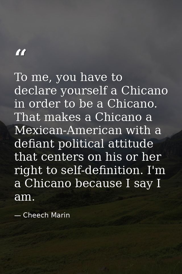 To me, you have to declare yourself a Chicano in order to be a Chicano. That makes a Chicano a Mexican-American with a d — Cheech Marin