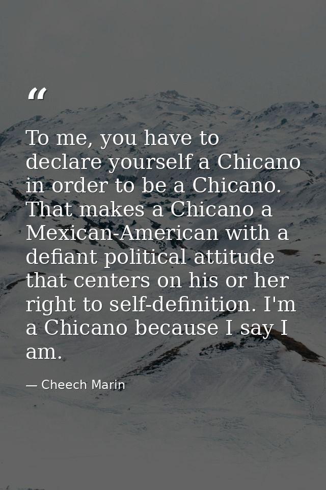To me, you have to declare yourself a Chicano in order to be a Chicano. That makes a Chicano a Mexican-American with a d — Cheech Marin