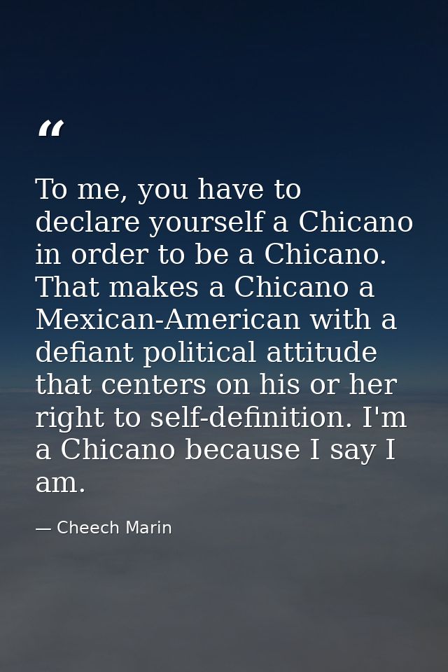 To me, you have to declare yourself a Chicano in order to be a Chicano. That makes a Chicano a Mexican-American with a d — Cheech Marin