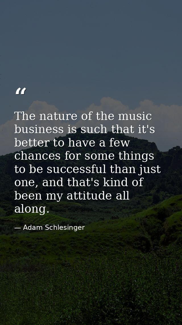 The nature of the music business is such that it's better to have a few chances for some things to be successful than ju — Adam Schlesinger