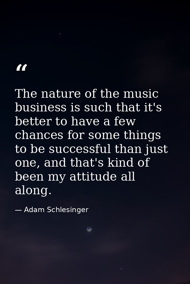The nature of the music business is such that it's better to have a few chances for some things to be successful than ju — Adam Schlesinger