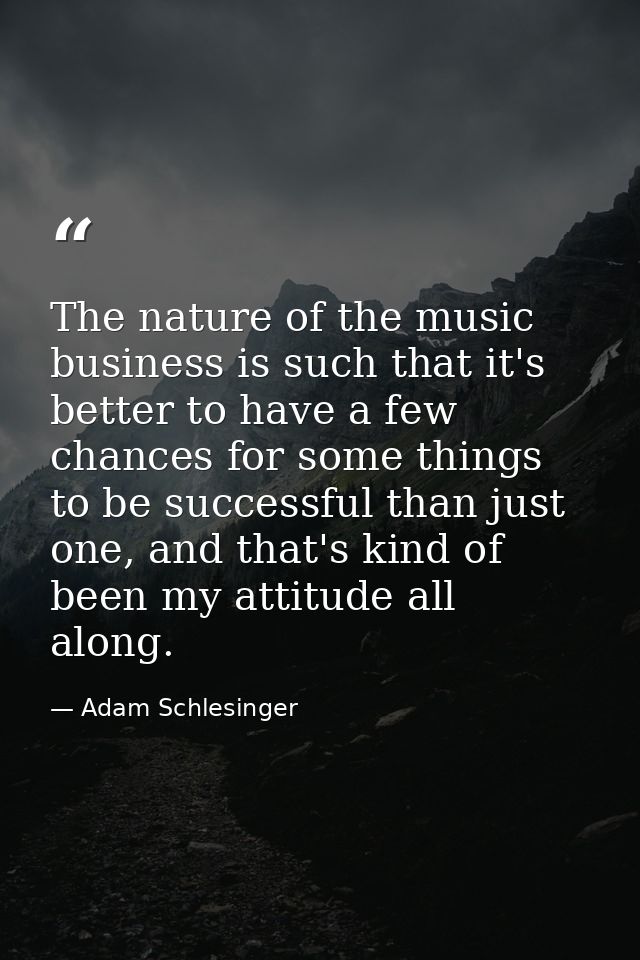 The nature of the music business is such that it's better to have a few chances for some things to be successful than ju — Adam Schlesinger