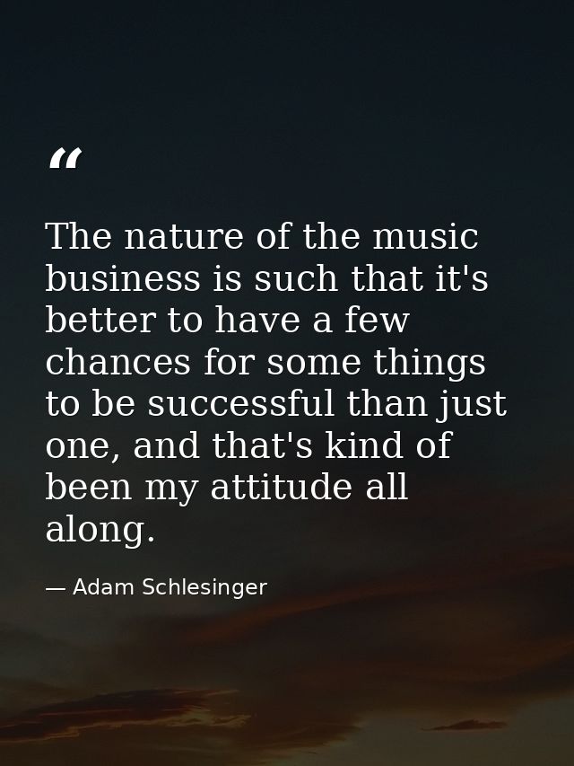 The nature of the music business is such that it's better to have a few chances for some things to be successful than ju — Adam Schlesinger