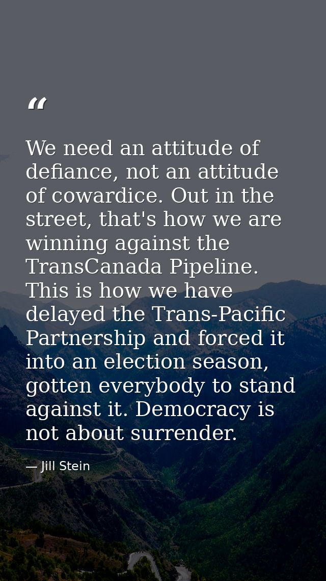 We need an attitude of defiance, not an attitude of cowardice. Out in the street, that's how we are winning against the  — Jill Stein