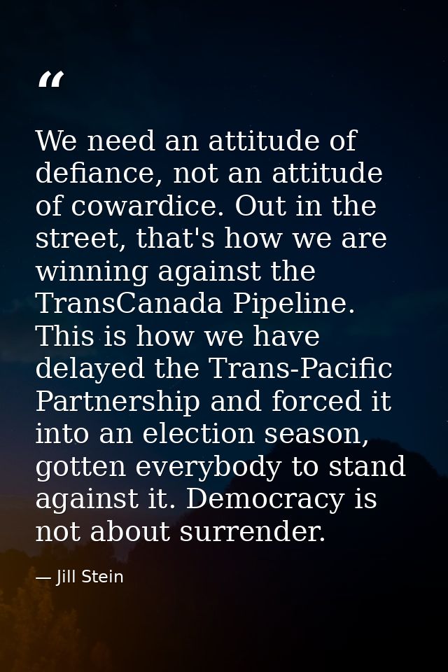 We need an attitude of defiance, not an attitude of cowardice. Out in the street, that's how we are winning against the  — Jill Stein