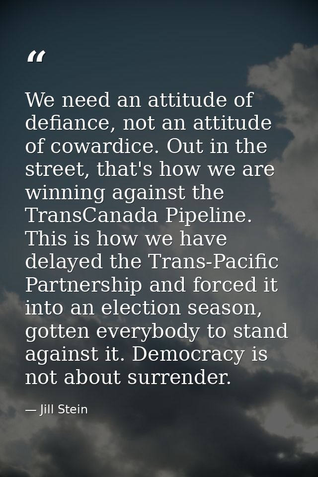 We need an attitude of defiance, not an attitude of cowardice. Out in the street, that's how we are winning against the  — Jill Stein