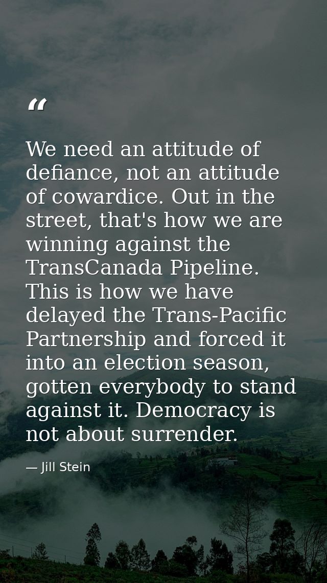 We need an attitude of defiance, not an attitude of cowardice. Out in the street, that's how we are winning against the  — Jill Stein
