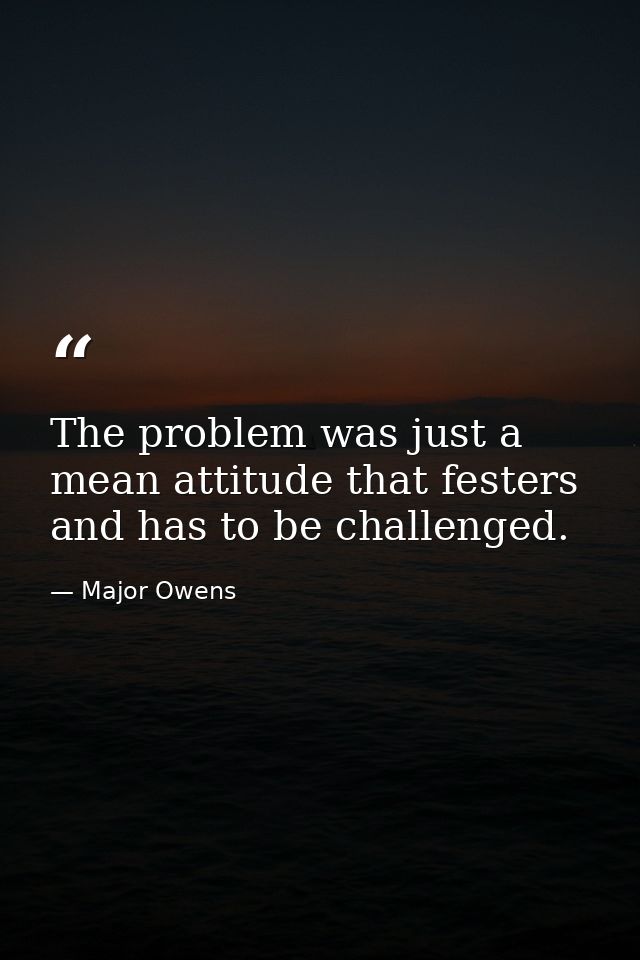 The problem was just a mean attitude that festers and has to be challenged. — Major Owens