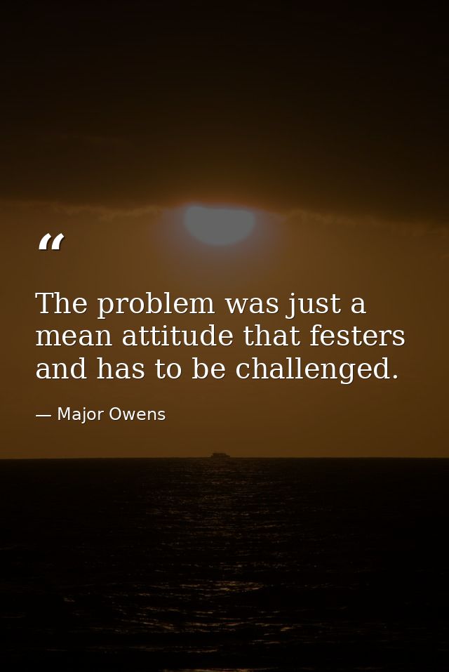 The problem was just a mean attitude that festers and has to be challenged. — Major Owens