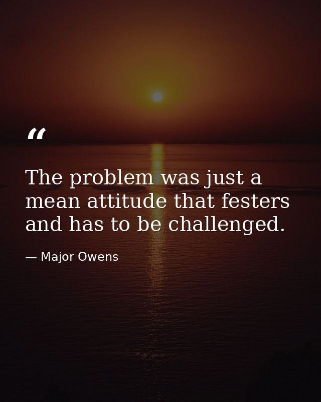 The problem was just a mean attitude that festers and has to be challenged. — Major Owens