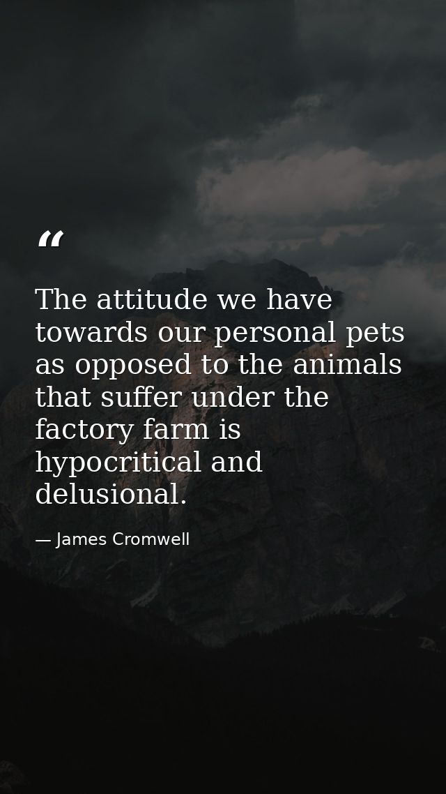 The attitude we have towards our personal pets as opposed to the animals that suffer under the factory farm is hypocriti — James Cromwell