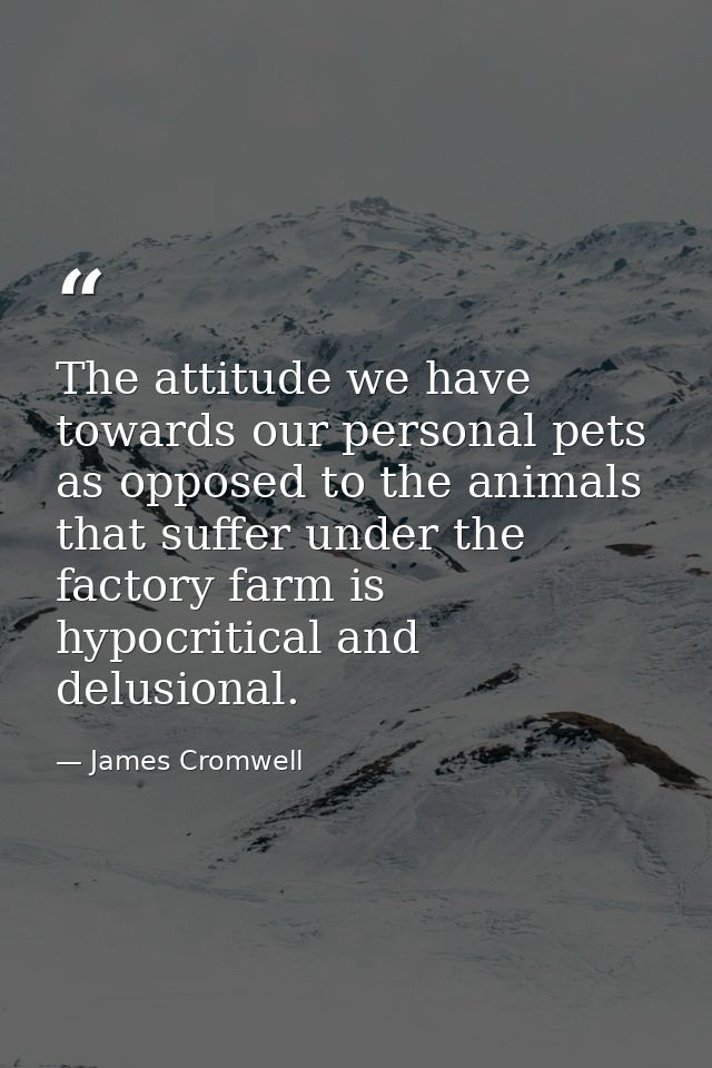 The attitude we have towards our personal pets as opposed to the animals that suffer under the factory farm is hypocriti — James Cromwell