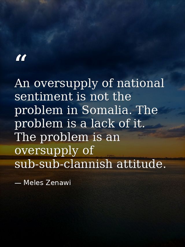 An oversupply of national sentiment is not the problem in Somalia. The problem is a lack of it. The problem is an oversu — Meles Zenawi