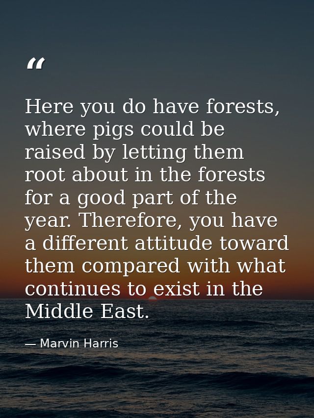 Here you do have forests, where pigs could be raised by letting them root about in the forests for a good part of the ye — Marvin Harris