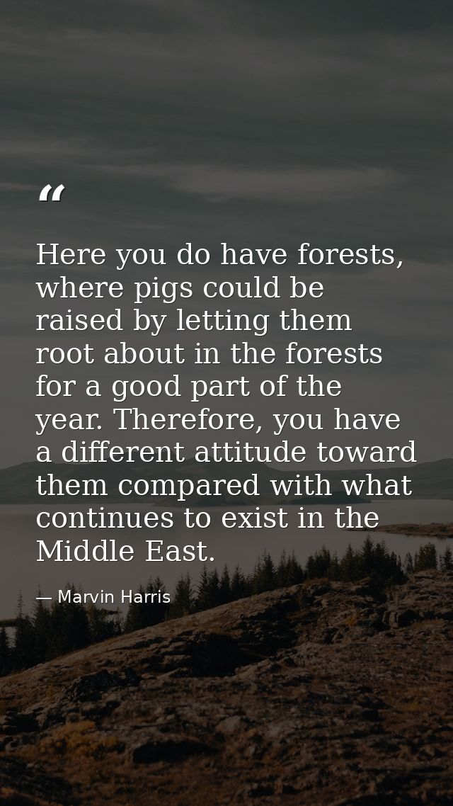 Here you do have forests, where pigs could be raised by letting them root about in the forests for a good part of the ye — Marvin Harris