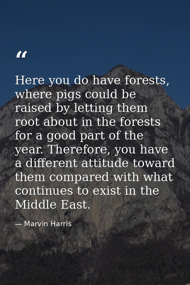 Here you do have forests, where pigs could be raised by letting them root about in the forests for a good part of the ye — Marvin Harris