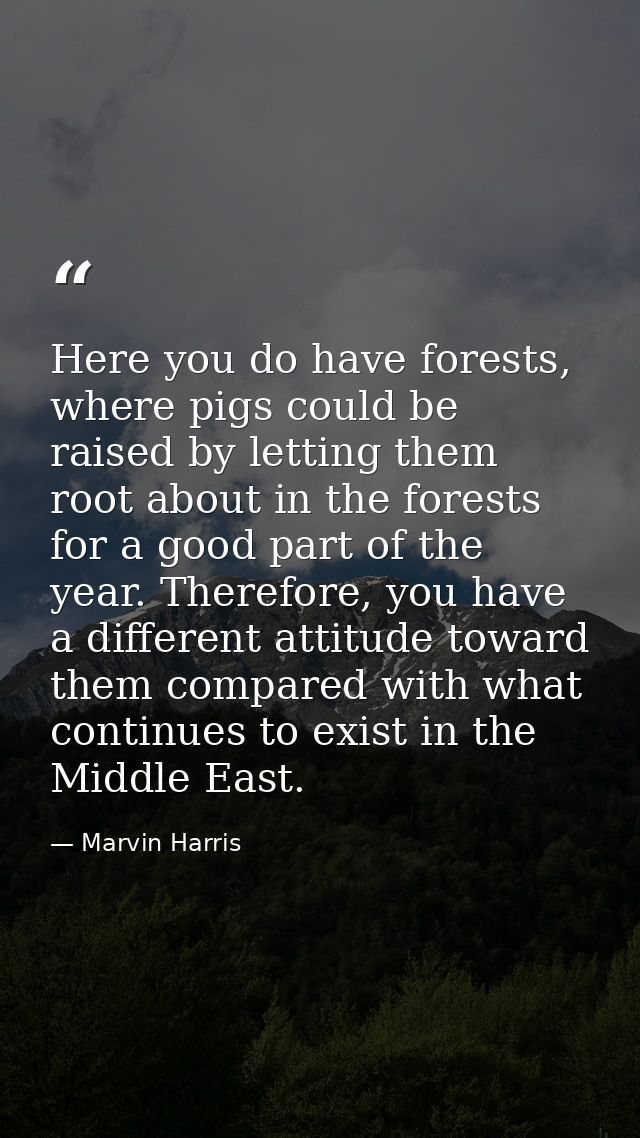 Here you do have forests, where pigs could be raised by letting them root about in the forests for a good part of the ye — Marvin Harris
