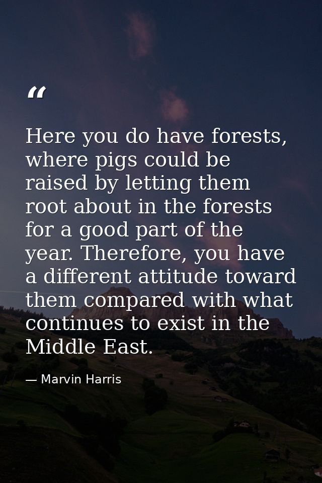Here you do have forests, where pigs could be raised by letting them root about in the forests for a good part of the ye — Marvin Harris