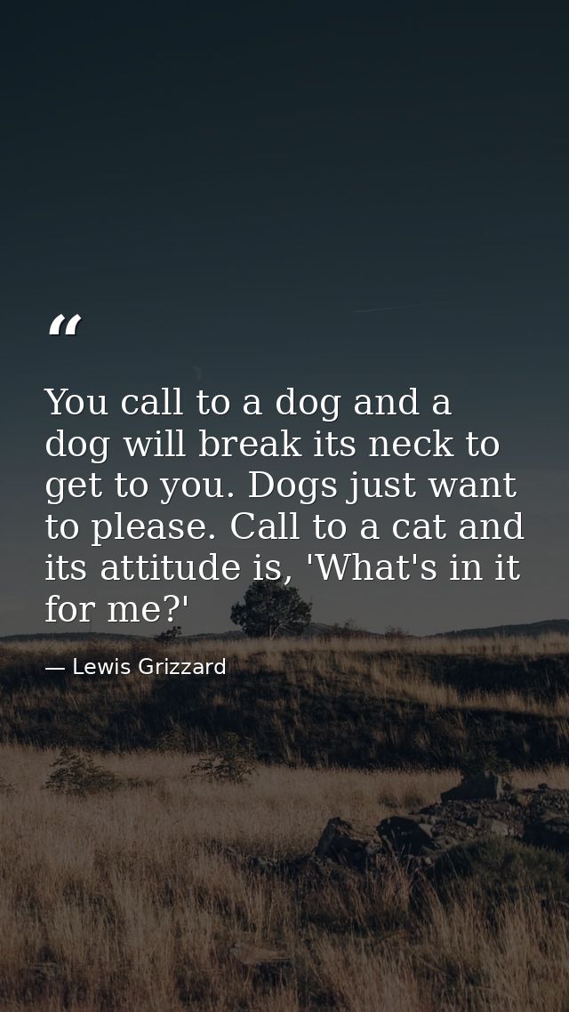 You call to a dog and a dog will break its neck to get to you. Dogs just want to please. Call to a cat and its attitude  — Lewis Grizzard