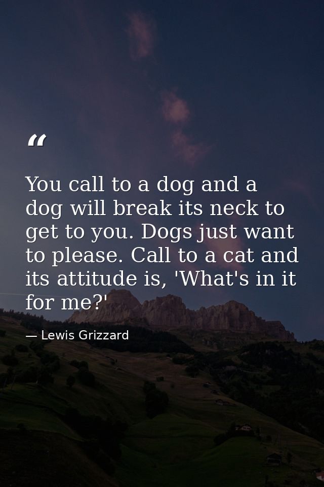 You call to a dog and a dog will break its neck to get to you. Dogs just want to please. Call to a cat and its attitude  — Lewis Grizzard