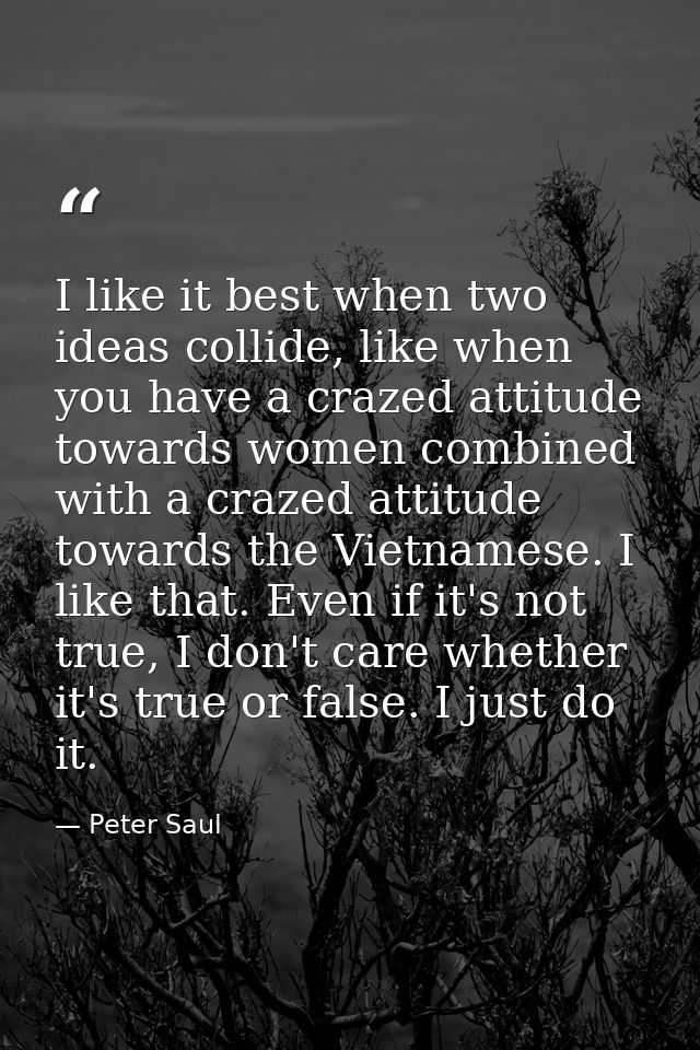 I like it best when two ideas collide, like when you have a crazed attitude towards women combined with a crazed attitud — Peter Saul