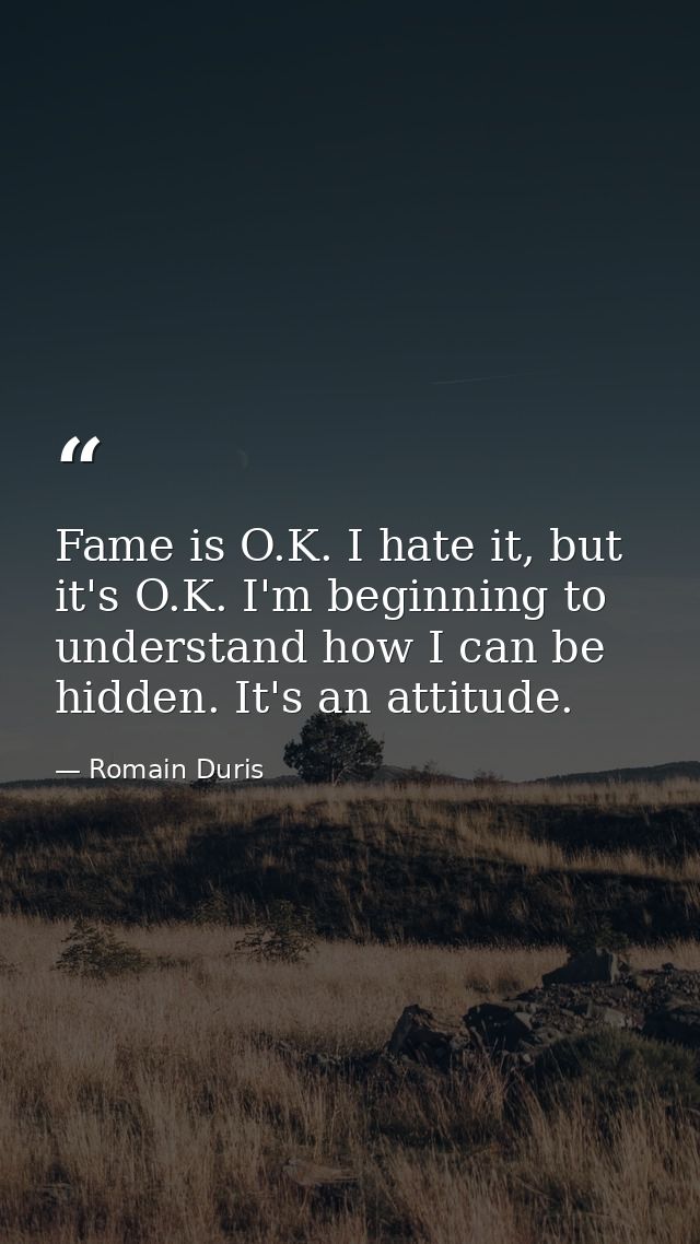 Fame is O.K. I hate it, but it's O.K. I'm beginning to understand how I can be hidden. It's an attitude. — Romain Duris
