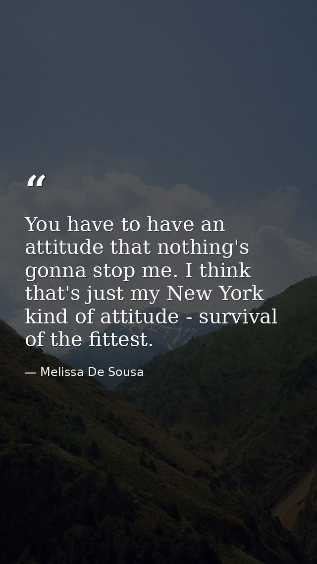 You have to have an attitude that nothing's gonna stop me. I think that's just my New York kind of attitude - survival o — Melissa De Sousa