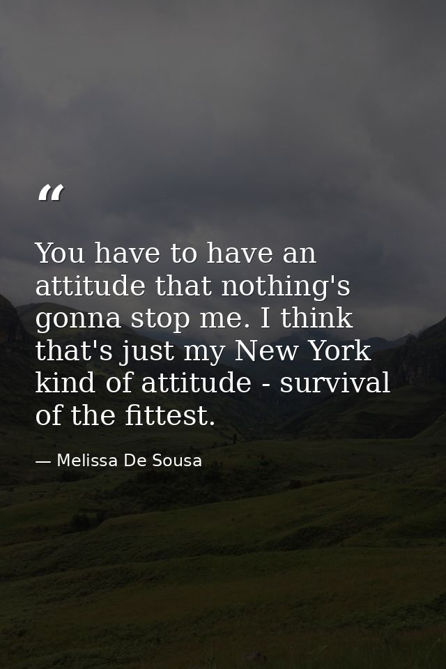 You have to have an attitude that nothing's gonna stop me. I think that's just my New York kind of attitude - survival o — Melissa De Sousa