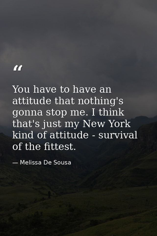 You have to have an attitude that nothing's gonna stop me. I think that's just my New York kind of attitude - survival o — Melissa De Sousa