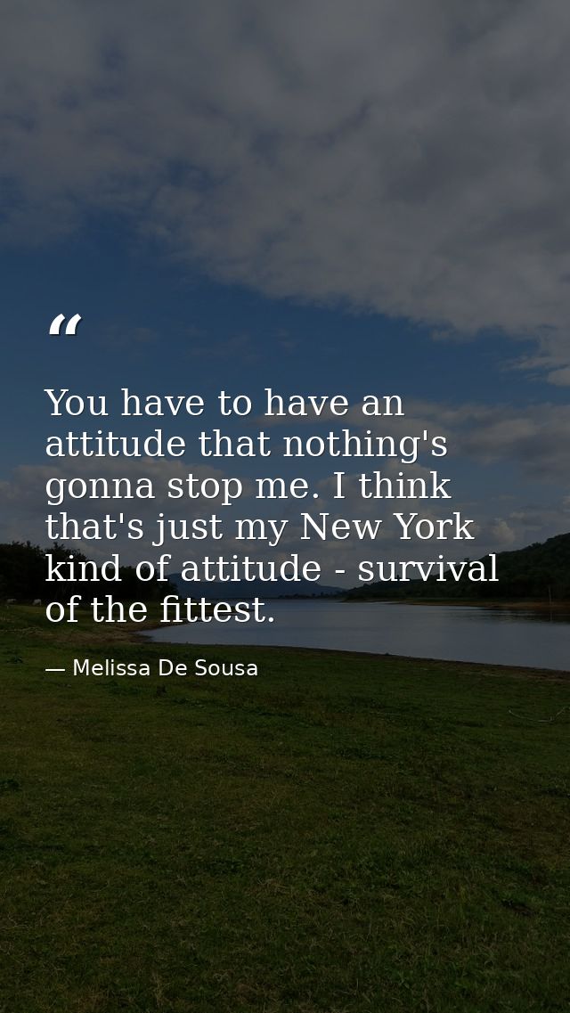 You have to have an attitude that nothing's gonna stop me. I think that's just my New York kind of attitude - survival o — Melissa De Sousa