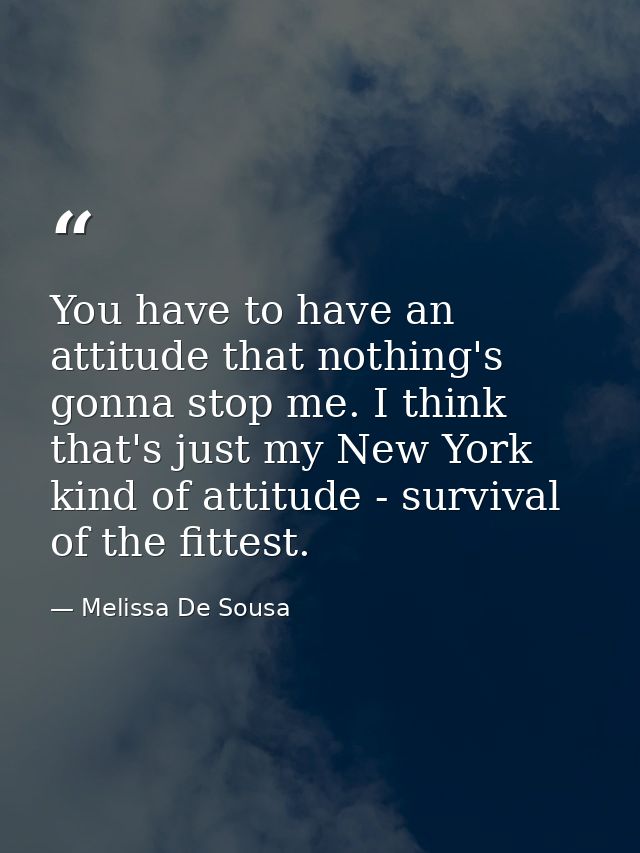 You have to have an attitude that nothing's gonna stop me. I think that's just my New York kind of attitude - survival o — Melissa De Sousa