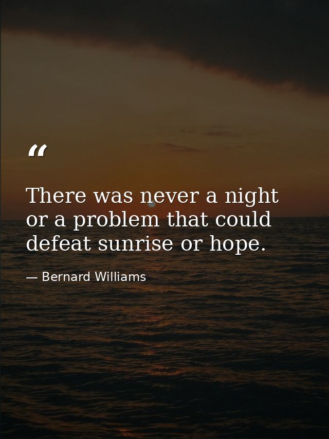There was never a night or a problem that could defeat sunrise or hope. — Bernard Williams