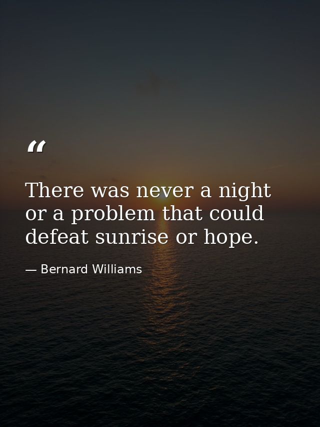 There was never a night or a problem that could defeat sunrise or hope. — Bernard Williams