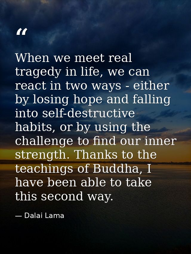 When we meet real tragedy in life, we can react in two ways - either by losing hope and falling into self-destructive ha — Dalai Lama