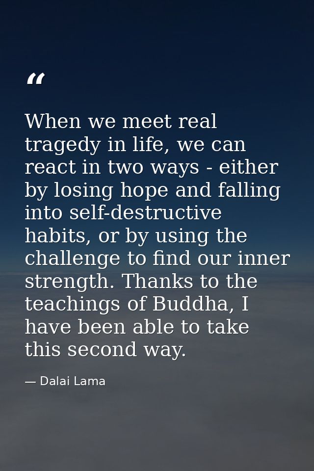 When we meet real tragedy in life, we can react in two ways - either by losing hope and falling into self-destructive ha — Dalai Lama