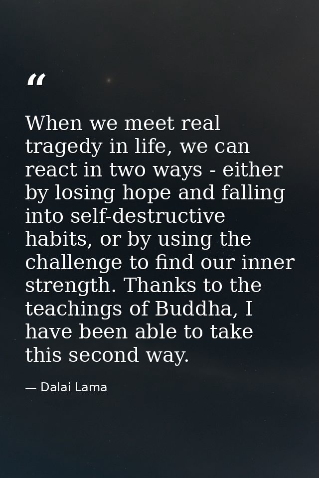 When we meet real tragedy in life, we can react in two ways - either by losing hope and falling into self-destructive ha — Dalai Lama