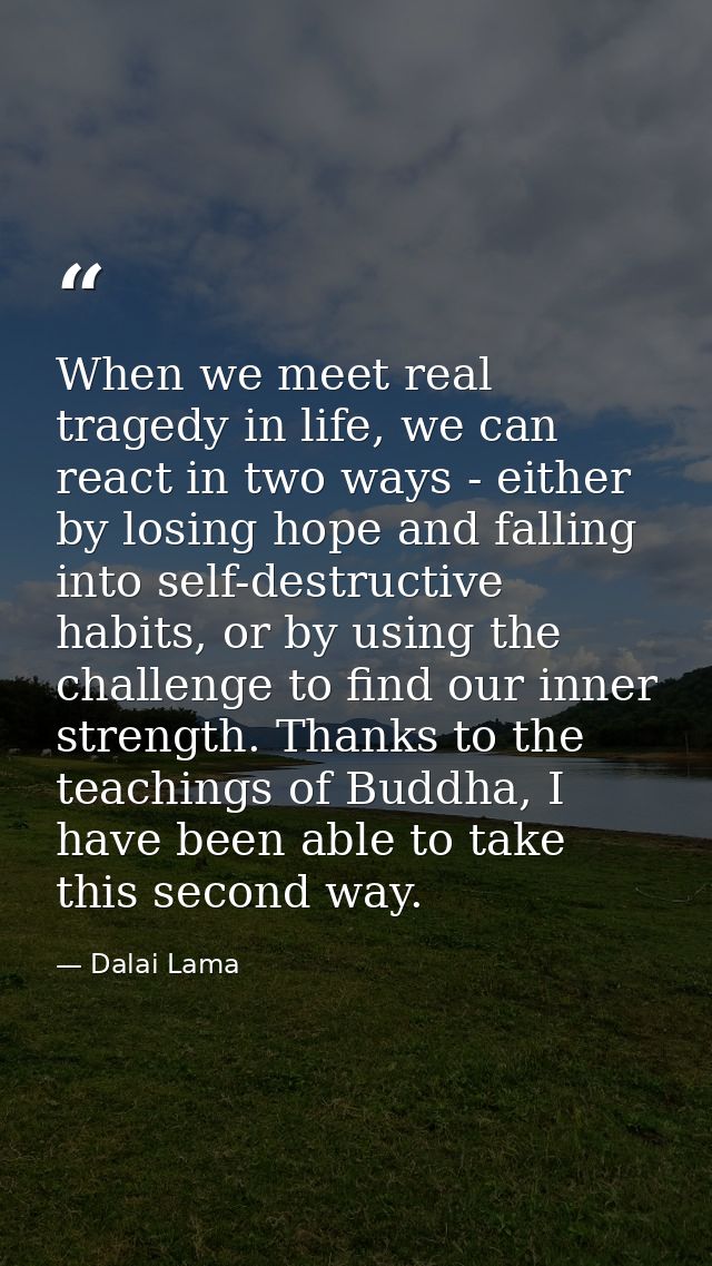 When we meet real tragedy in life, we can react in two ways - either by losing hope and falling into self-destructive ha — Dalai Lama