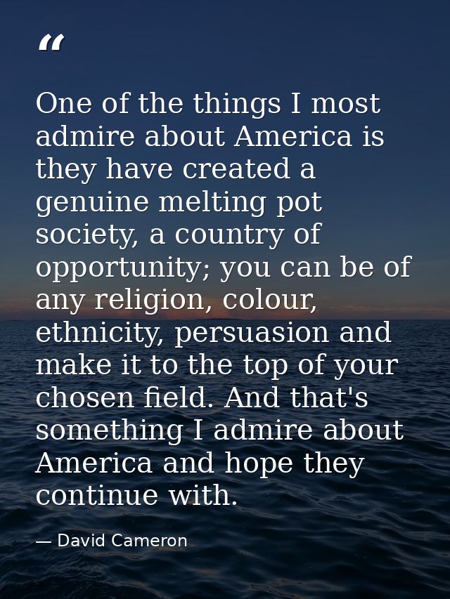 One of the things I most admire about America is they have created a genuine melting pot society, a country of opportuni — David Cameron