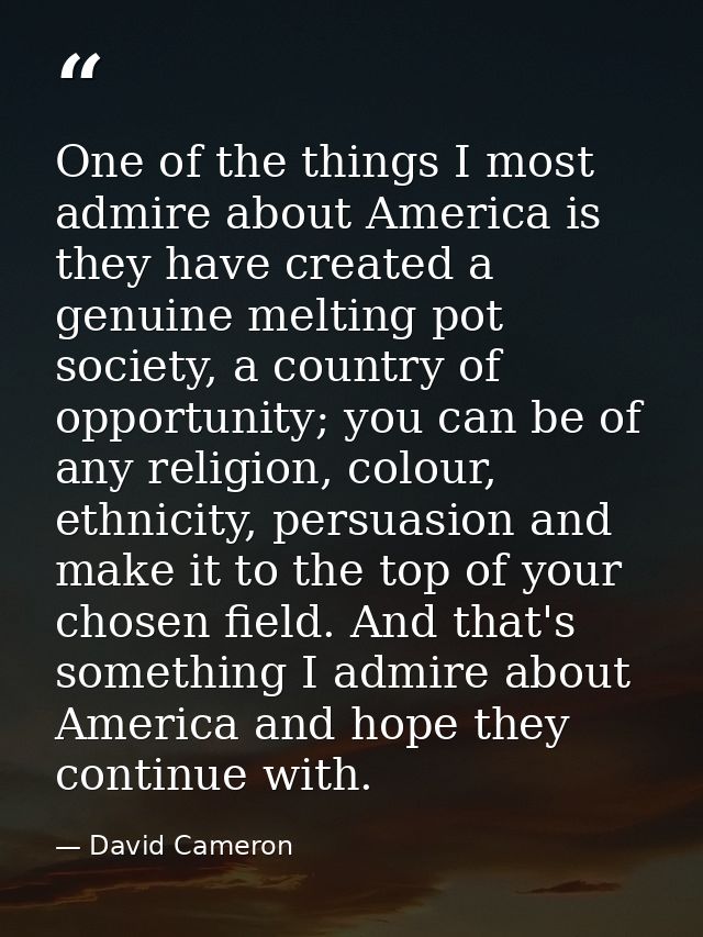 One of the things I most admire about America is they have created a genuine melting pot society, a country of opportuni — David Cameron