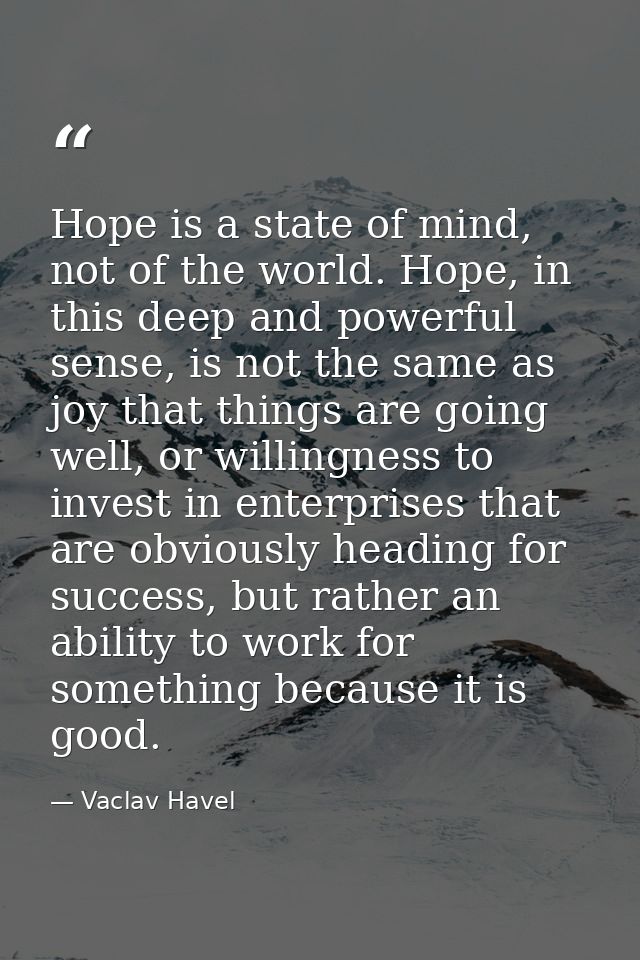 Hope is a state of mind, not of the world. Hope, in this deep and powerful sense, is not the same as joy that things are — Vaclav Havel