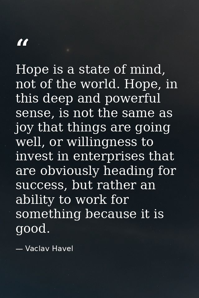 Hope is a state of mind, not of the world. Hope, in this deep and powerful sense, is not the same as joy that things are — Vaclav Havel