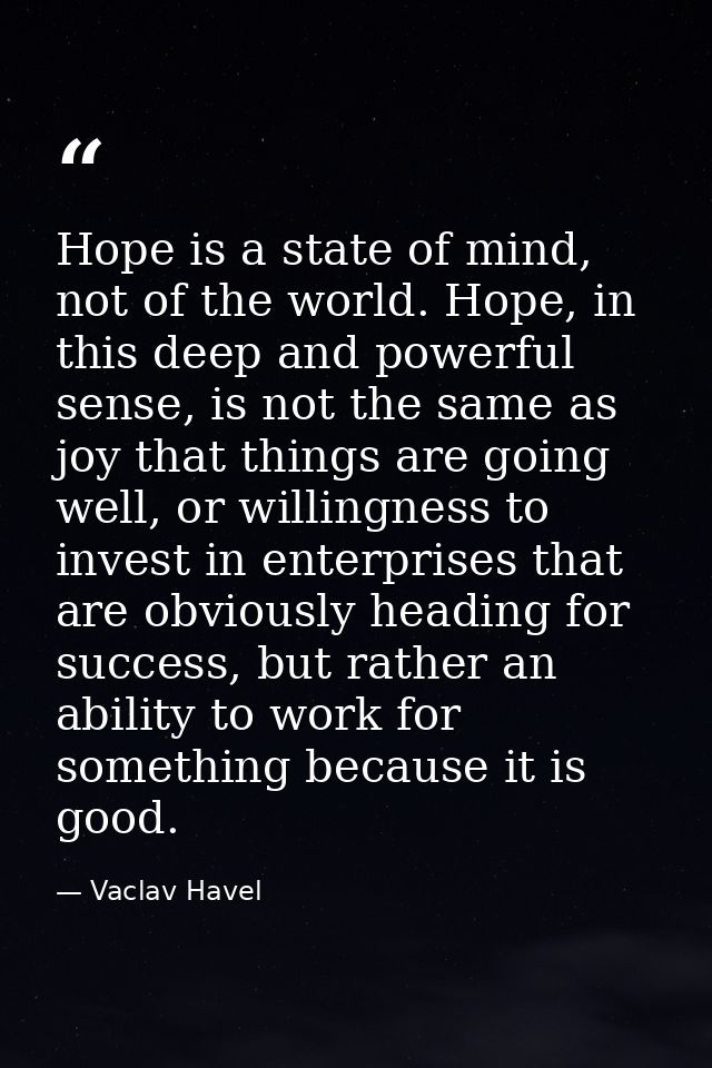 Hope is a state of mind, not of the world. Hope, in this deep and powerful sense, is not the same as joy that things are — Vaclav Havel