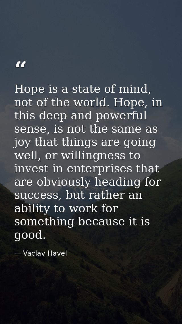 Hope is a state of mind, not of the world. Hope, in this deep and powerful sense, is not the same as joy that things are — Vaclav Havel