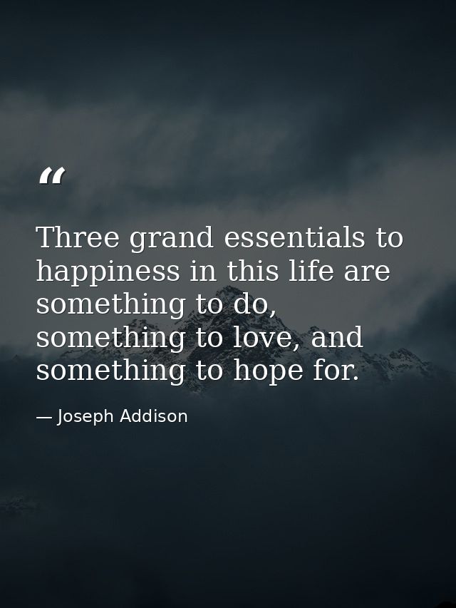 Three grand essentials to happiness in this life are something to do, something to love, and something to hope for. — Joseph Addison