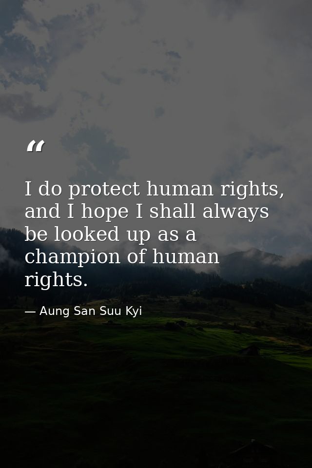 I do protect human rights, and I hope I shall always be looked up as a champion of human rights. — Aung San Suu Kyi