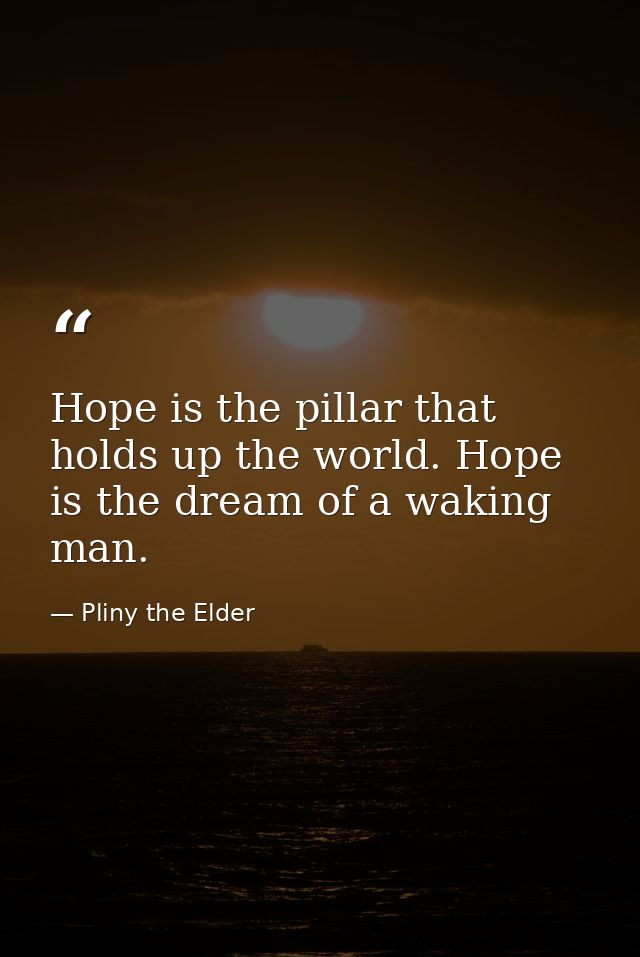 Hope is the pillar that holds up the world. Hope is the dream of a waking man. — Pliny the Elder